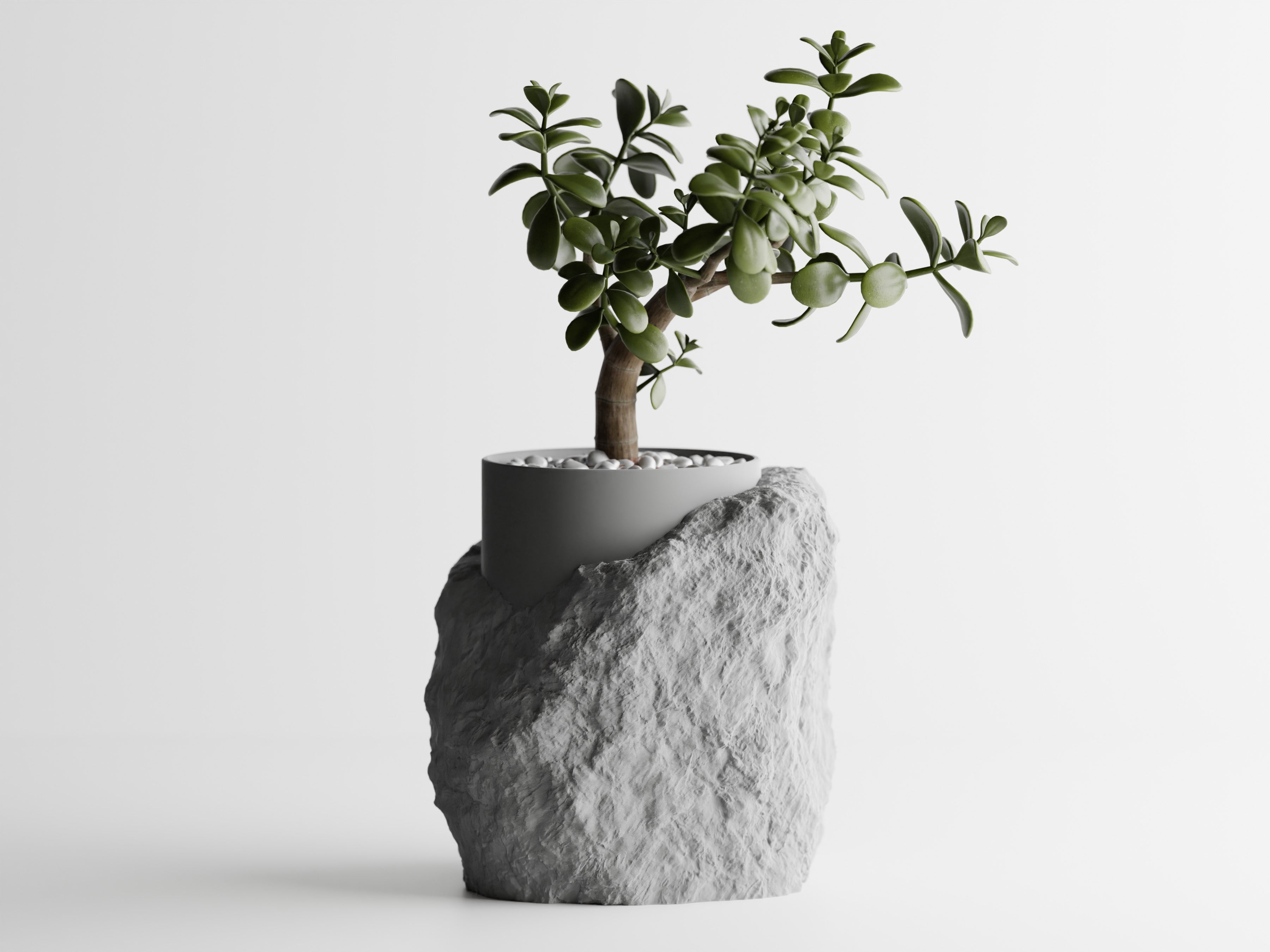 TerraVita