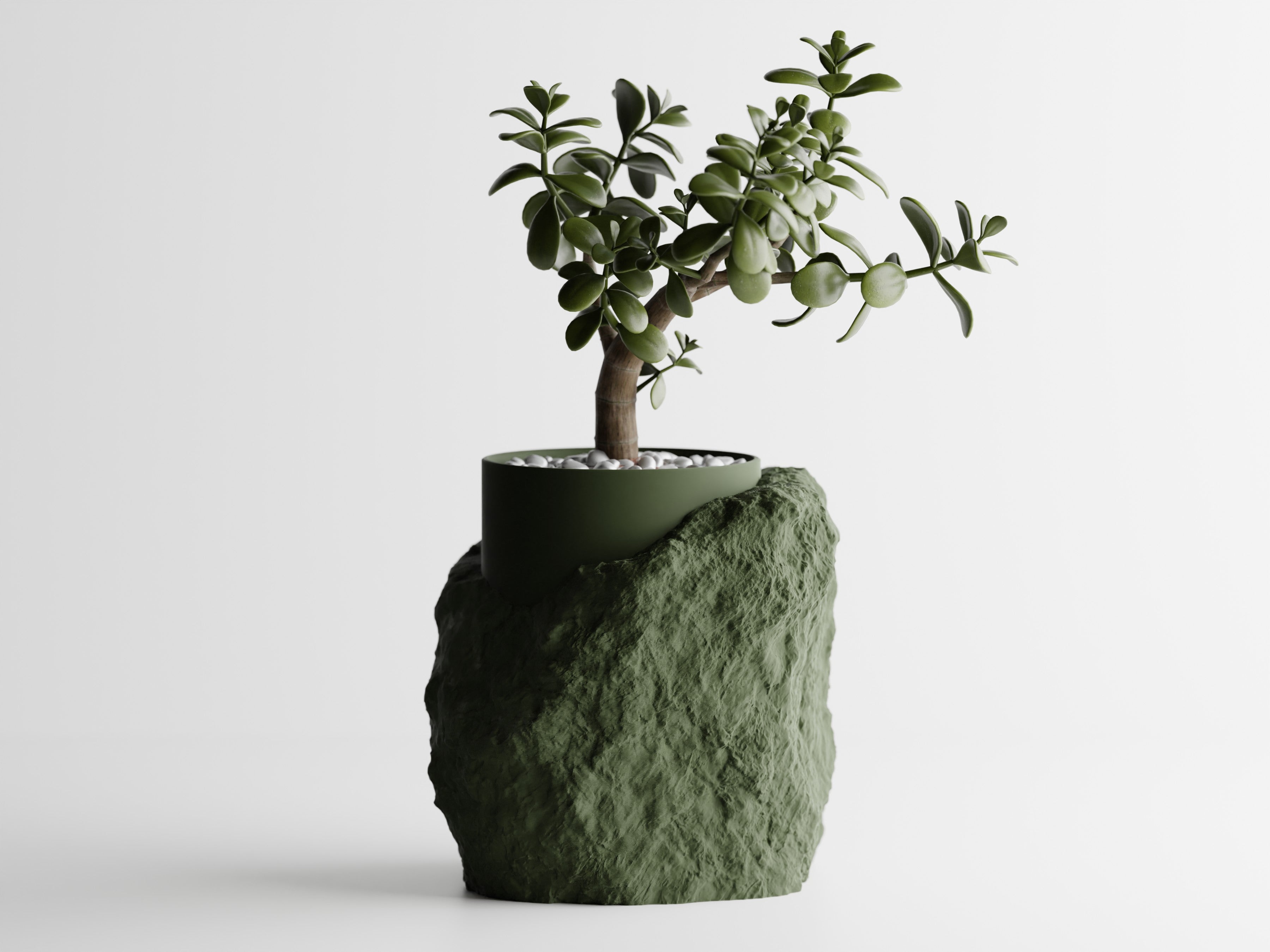 TerraVita