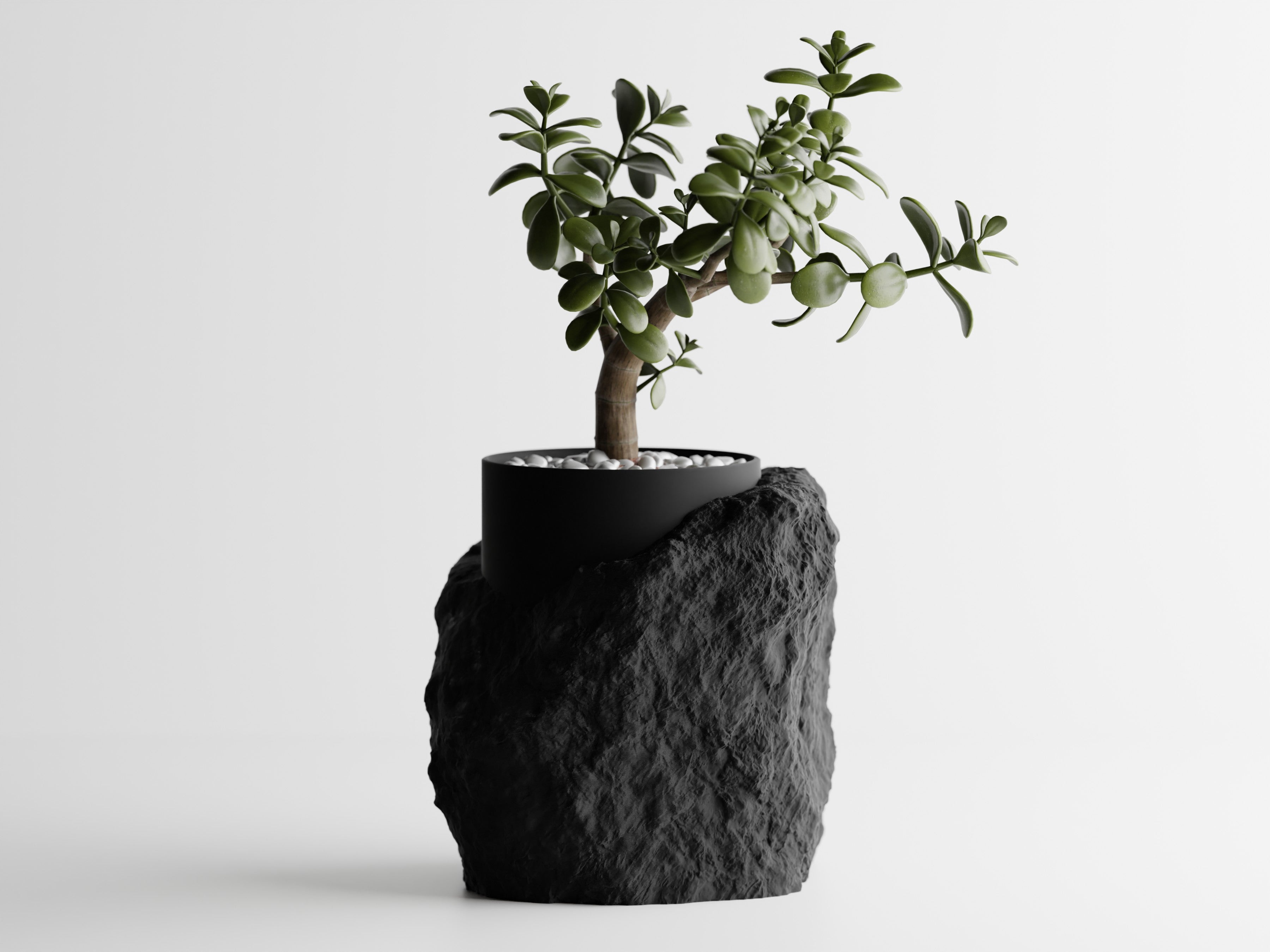 TerraVita