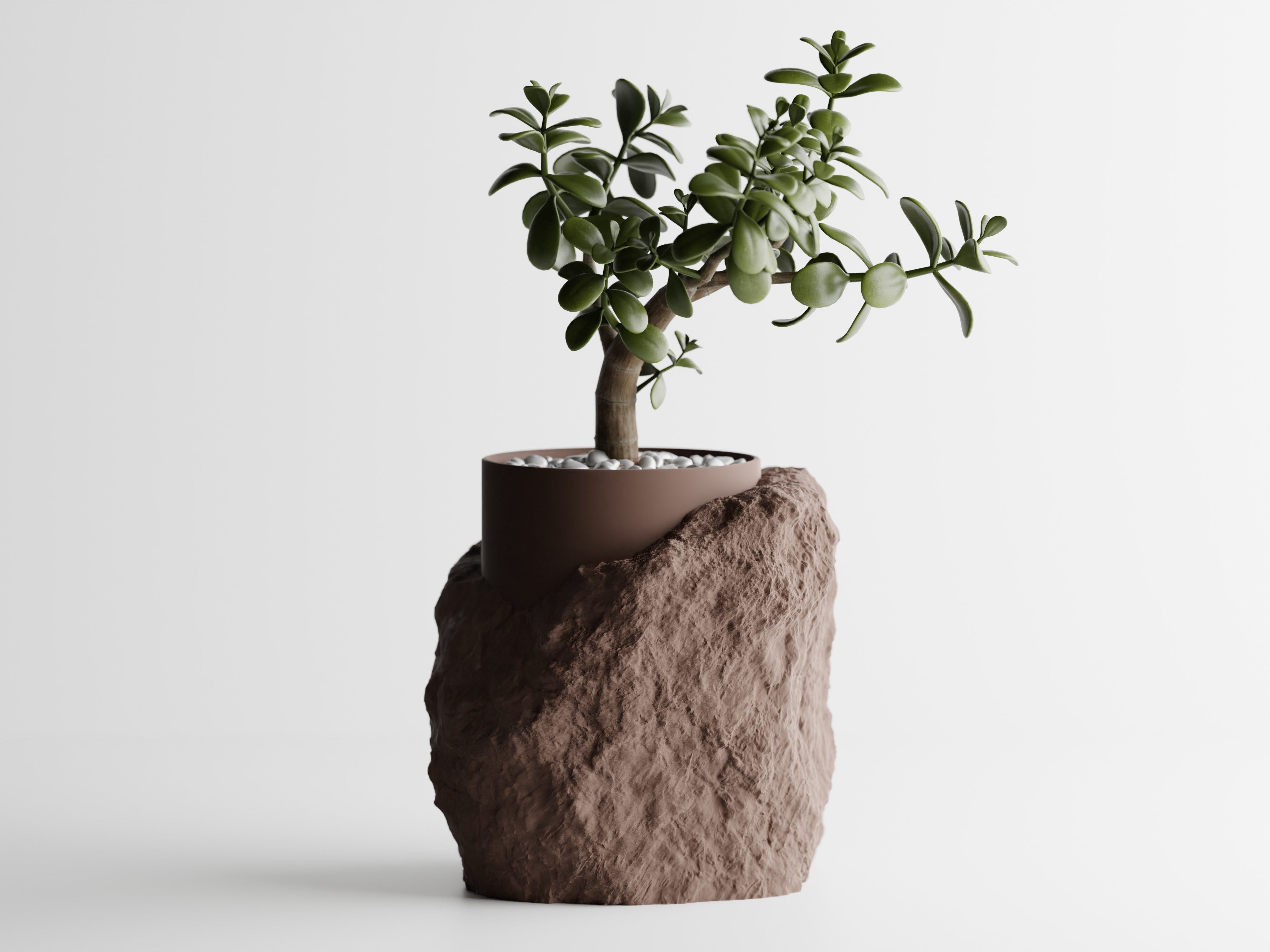 TerraVita